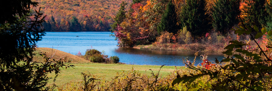 A river flows through trees in fall.