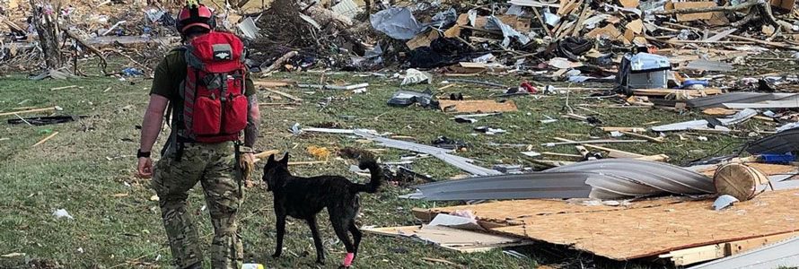 First responder with dog surveying tornado damage