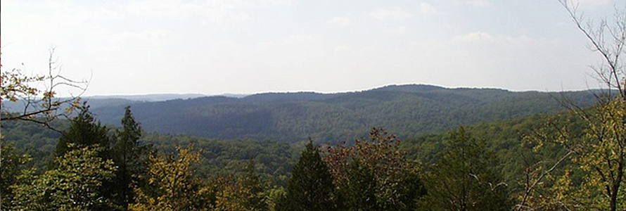 View of forest and hazy sky from Bell Mountain