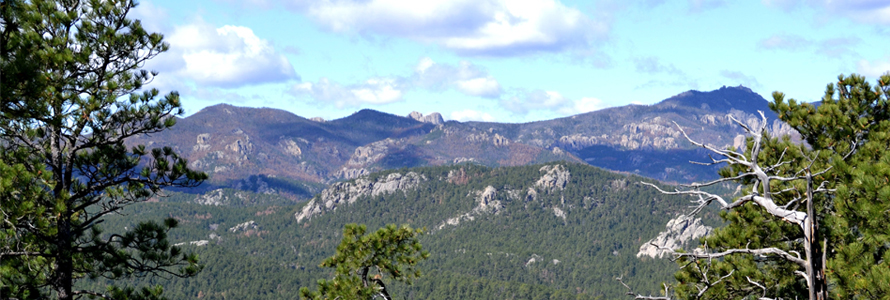 vew of mountains in the distance 