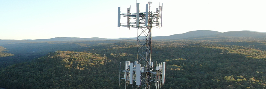 A FirstNet tower in rural woodlands provides coverage to rural first responders.