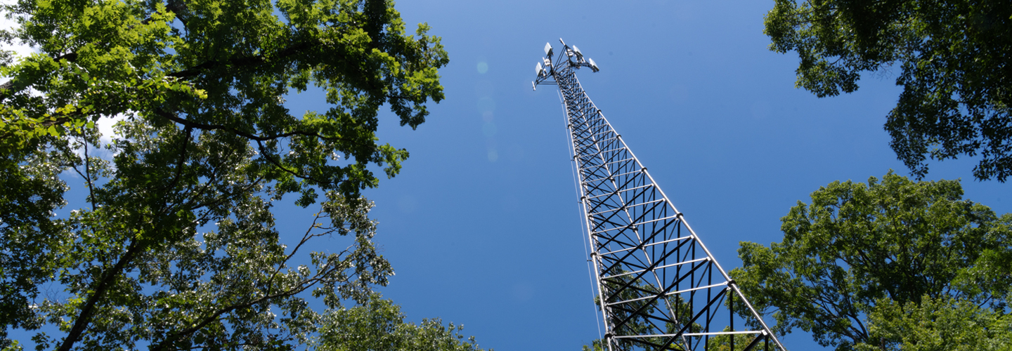 A cell tower rises among trees on a blue sky day