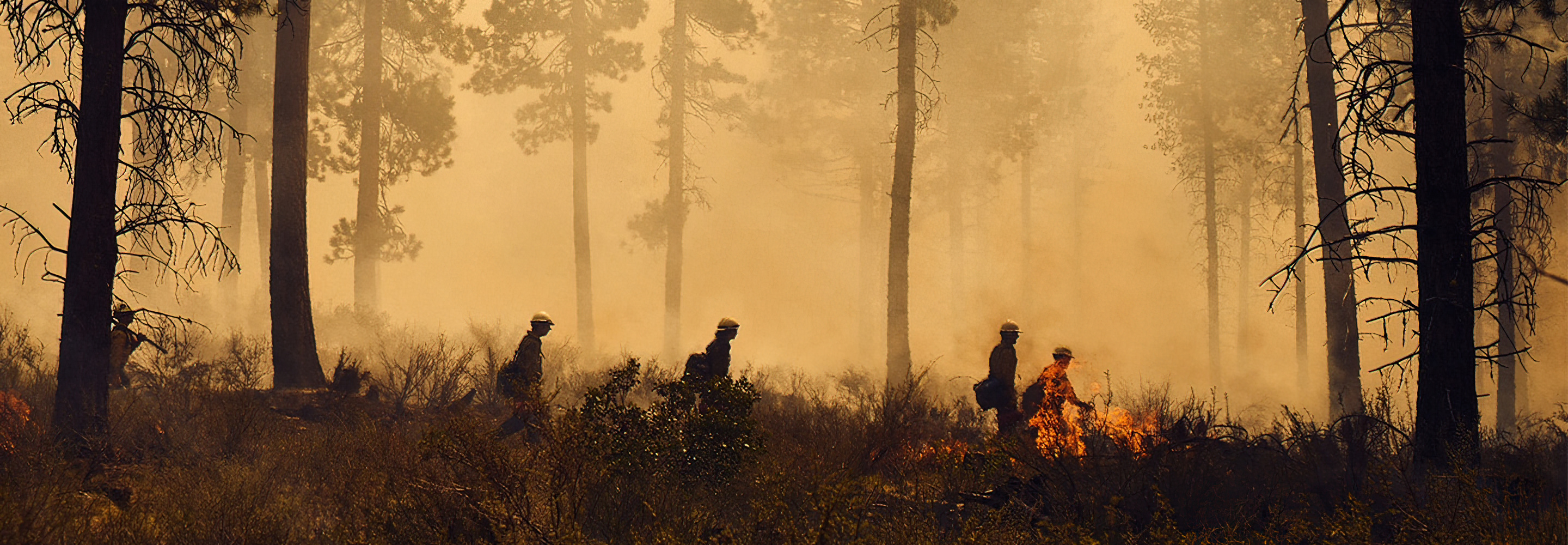 Silhouette of five fighters walking through a forest fire with orange smoke and flames