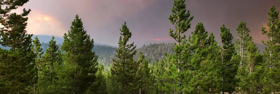 FirstNet Authority logo; "Helping firefighters face a historic wildfire season amid pandemic"; a wooded area full of fir trees; smoke billowing over the horizon.