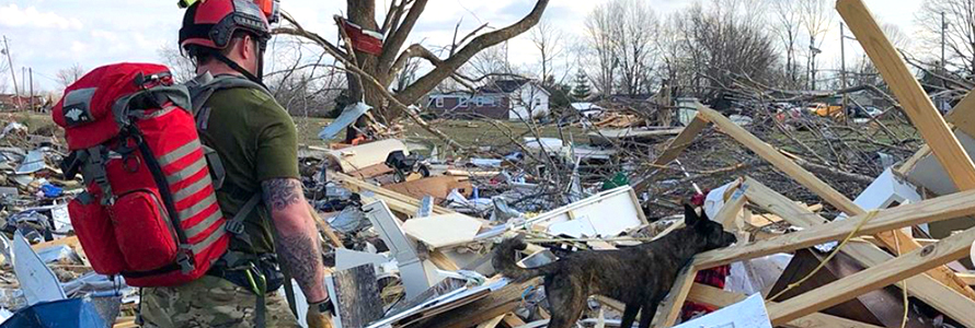 A first responder and K-9 dog stand surrounded by building and tree debris. 