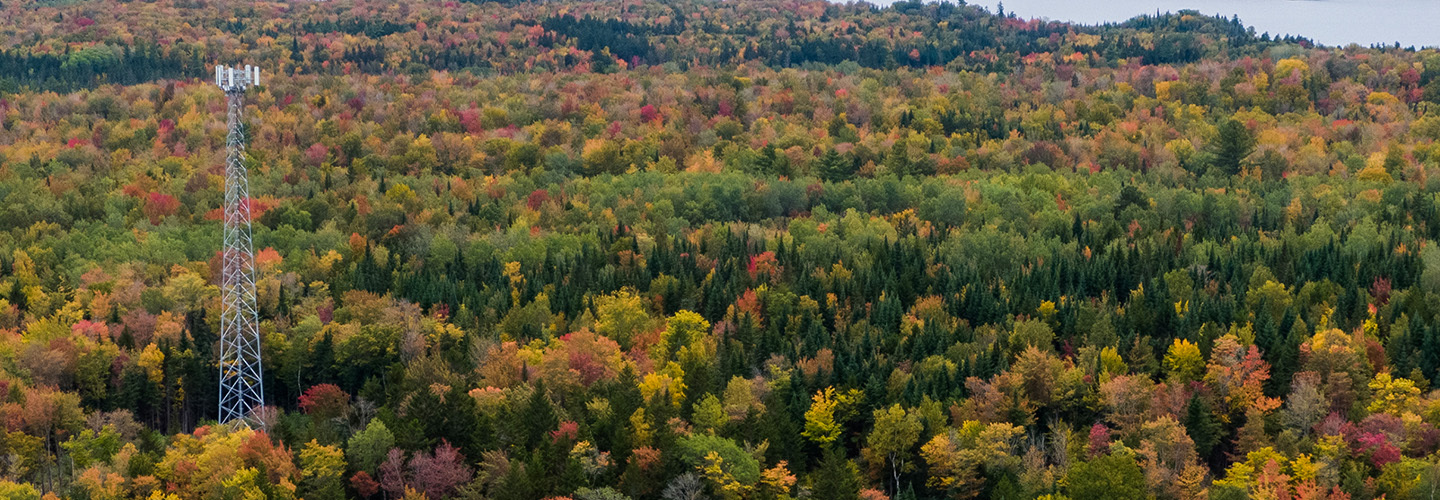 Cell tower rising over a forest of fall foliage