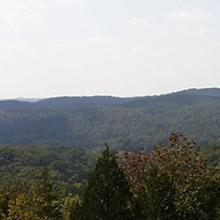 View of forest and hazy sky from Bell Mountain