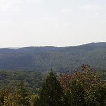View of forest and hazy sky from Bell Mountain View of forest and hazy sky from Bell Mountain