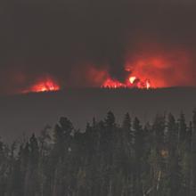 Fire burns on a smoky horizon with pine trees in the foreground