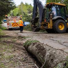 Fallen tree trunk on side of road after a storm, utility workers at work in background; a police officer closing a main road with tape in aftermath of a storm