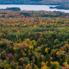 FirstNet: Investing in broadband coverage for tribal nations, rural areas Aerial view of cell tower in a rural, forested area in autumn; a body of water is visible behind the tower