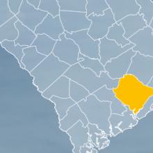 The state of South Carolina, with outlined county borders; a cell tower. The state of South Carolina, with outlined county borders; a cell tower.