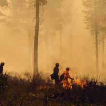 Silhouette of five fighters walking through a forest fire with orange smoke and flames