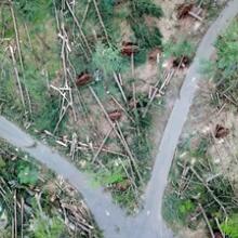 Aerial view of the damage caused by the May 15, 2018 storm in Brookfield, CT.