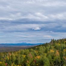 A FirstNet cell site situated on a hilly expanse surrounded by dense forest and a view of mountains and a lake in the distance. A FirstNet cell site situated on a hilly expanse surrounded by dense forest and a view of mountains and a lake in the distance.