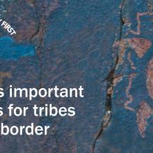 Tribal art of turtle on rock wall