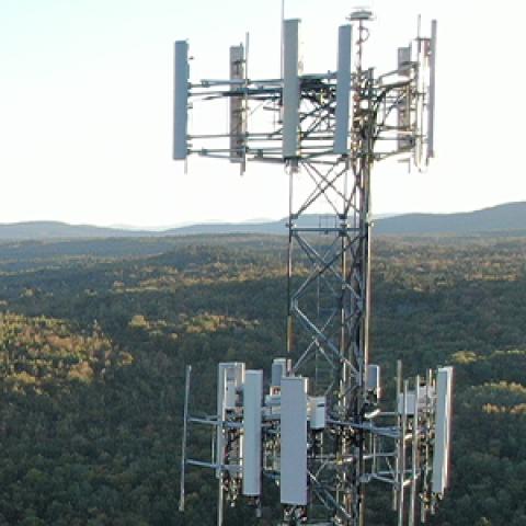 A FirstNet tower in rural woodlands provides coverage to rural first responders.