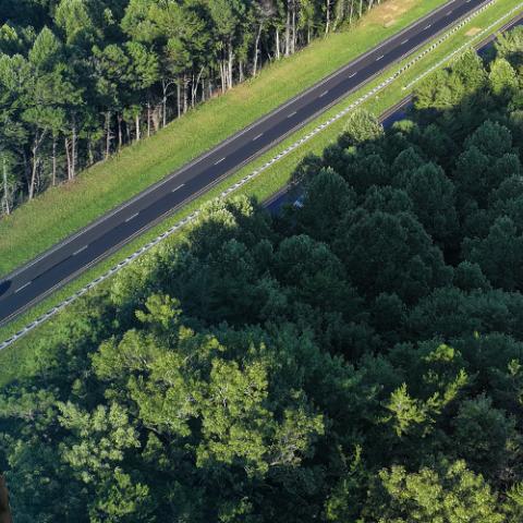 In the background, a rural road cuts through a dense forest with a cell tower rising above the treetops; West Virginia Department of Transportation Assistant Secretary Scott Eplin.