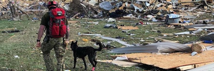 First responder with dog surveying tornado damage