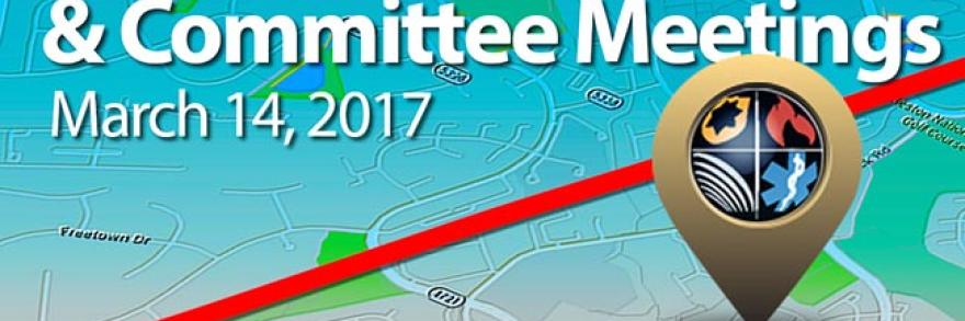 FirstNet Combined Committee and Board Meeting, March 14, 2017