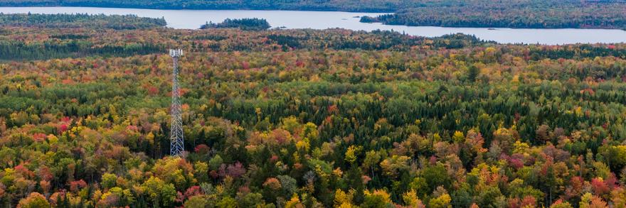 Aerial view of cell tower in a rural, forested area in autumn; a body of water is visible behind the tower