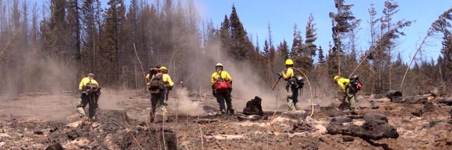 Smoke rises near five wildland firefighters working to put out remnants of a fire in an open space amongst trees.