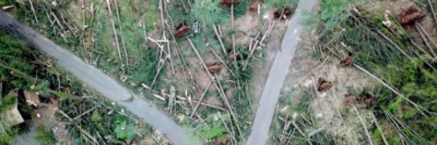 Aerial view of the damage caused by the May 15, 2018 storm in Brookfield, CT.