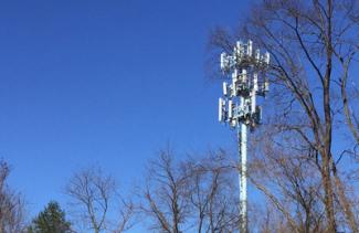 A cell tower stands over the trees