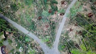 Aerial view of the damage caused by the May 15, 2018 storm in Brookfield, CT.