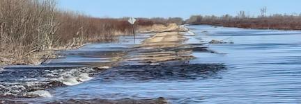 A road in Minnesota partially submerged in water from a recent flood.