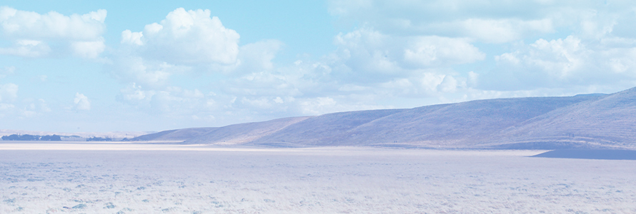 San Joaquin Valley scenery